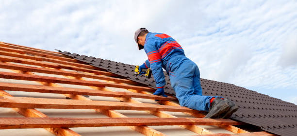 Best Gutter Replacement  in Toccoa, GA