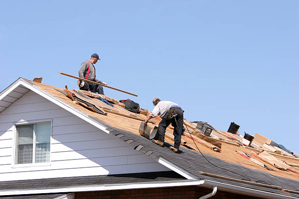 Best Roof Maintenance  in Toccoa, GA